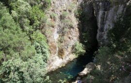 Su Gologone