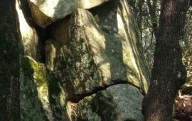 volto scolpito nella pietra nel bosco di lanusei in ogliastra