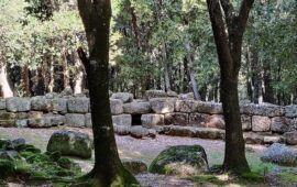 Il parco archeologico del bosco di Seleni