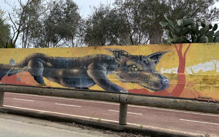 Murale lupo, ingresso Girasole