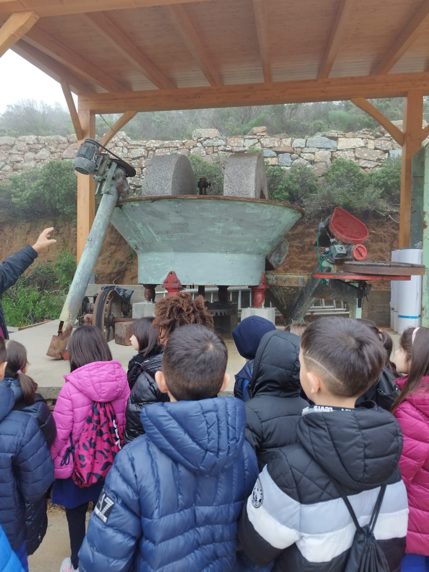 bambini al frantoio
