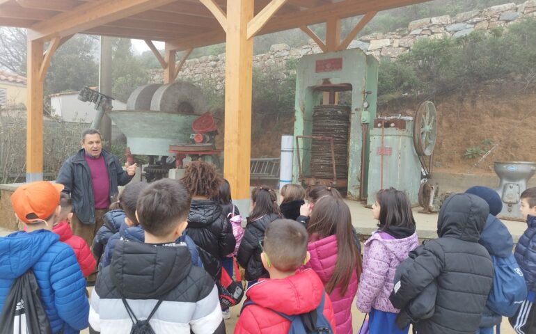 bambini al frantoio