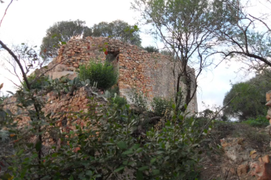 Il castello di Medusa