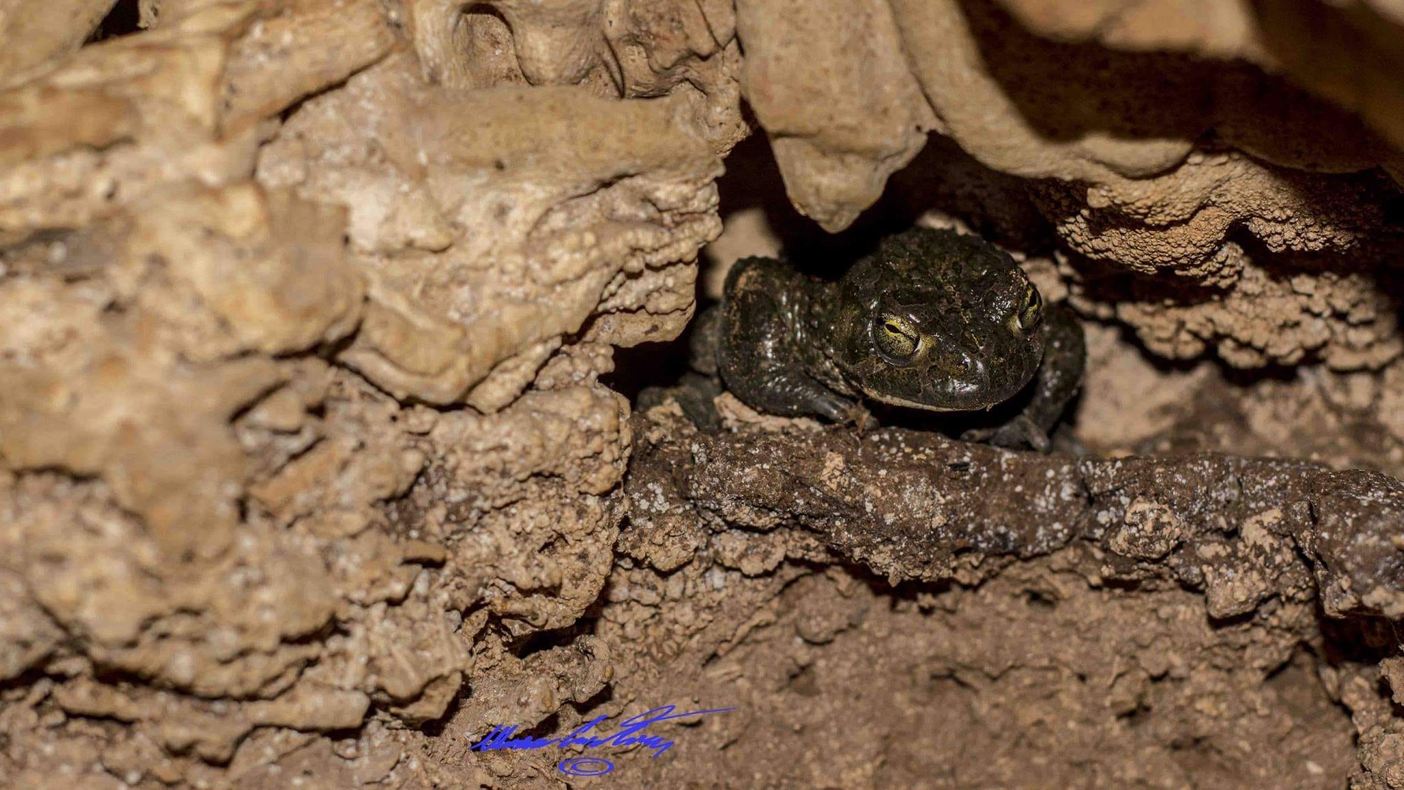 Grotta Taquisara, Gairo PH Cristian Mascia (3)