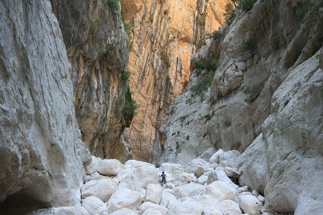 Dentro la gola di Gorropu