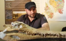 Daniel Zoboli paleontologo