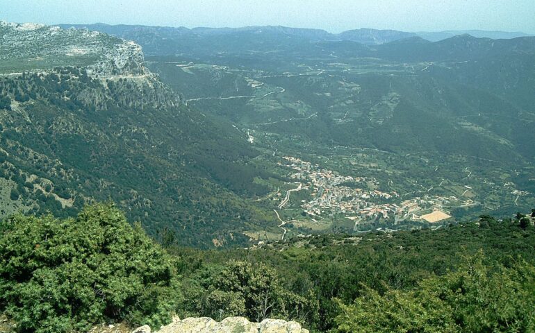 Urzulei