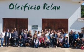 L’oleoturismo in Ogliastra: un’esperienza unica che arriva dall’Oleificio Pelau
