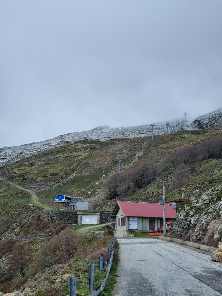 bruncu spina con la neve