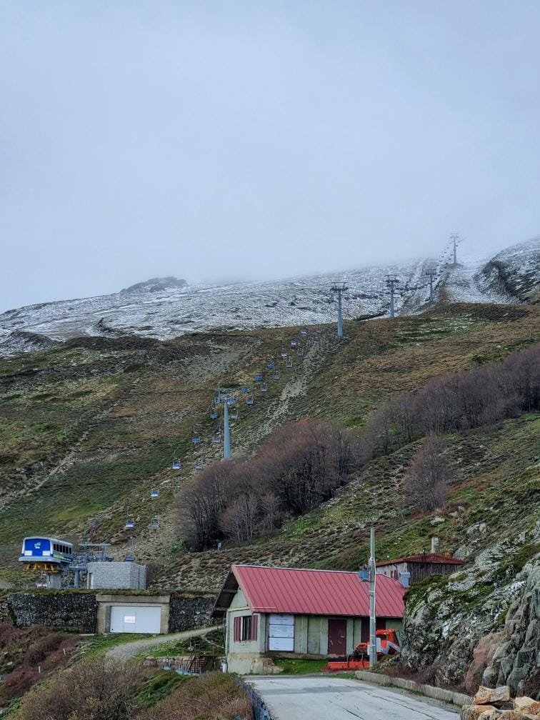 bruncu spina con la neve