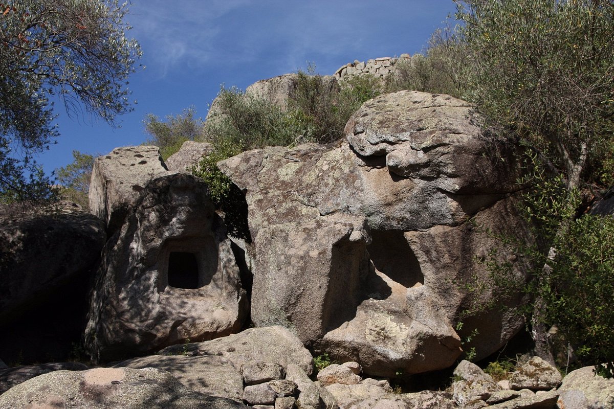Domus de janas