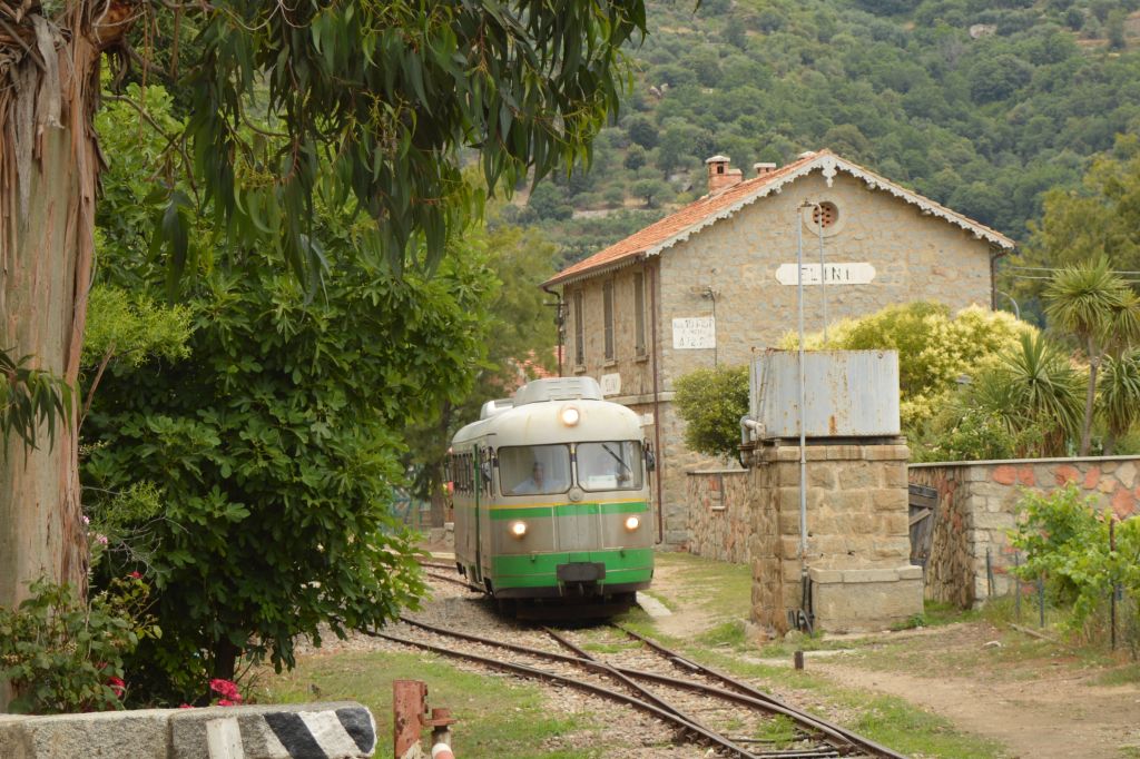 Elini