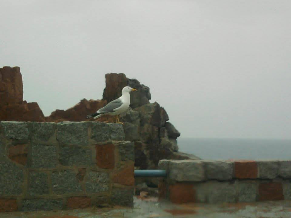 rocce rosse arbatax