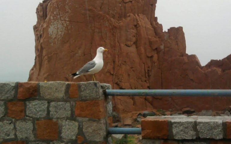rocce rosse arbatax