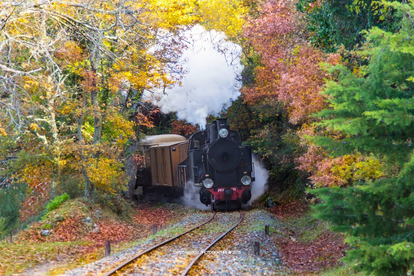 trenino verde