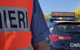 Il fiuto del cane antidroga Kelly incastra uno spacciatore a Tortolì: cocaina, eroina e contanti in casa