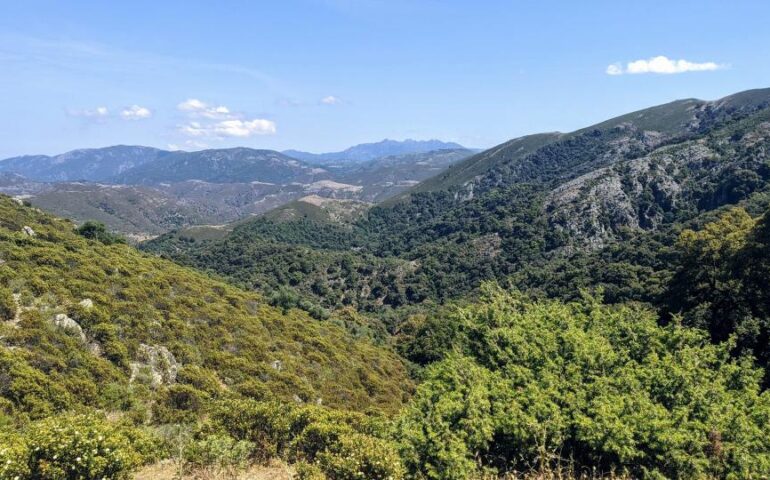 foresta sardegna
