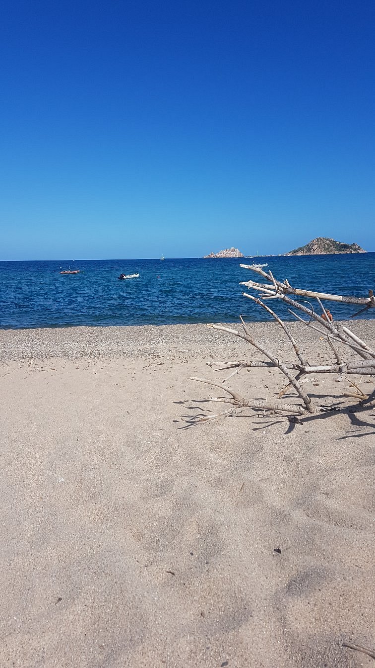 Tancau
