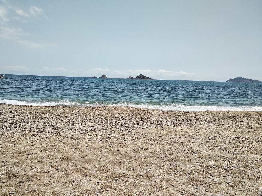Tancau