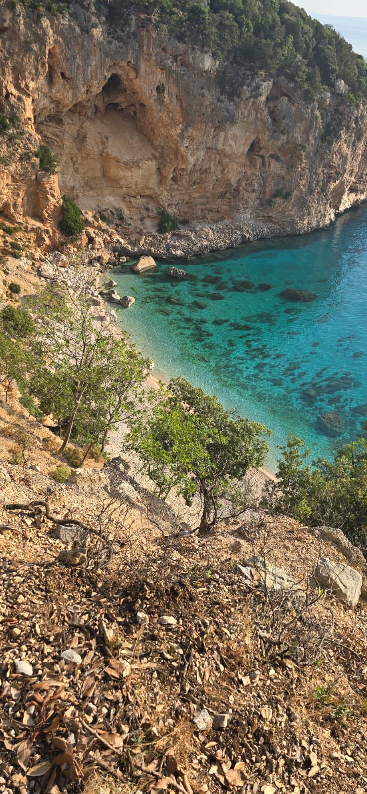 cala biriala