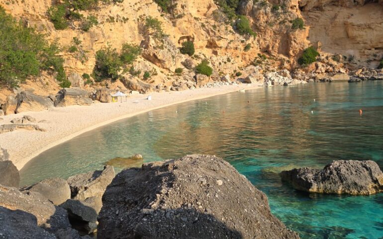 cala biriala
