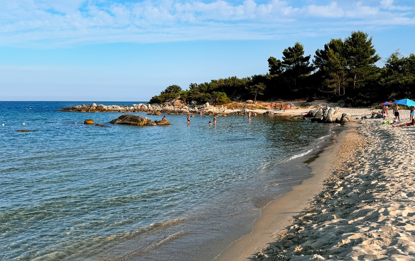 La foto di oggi. Buongiorno dal Lido di Orrì, tra colori e profumi di Sardegna
