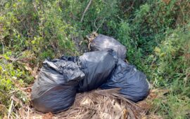 (FOTO) SP 27, la strada della vergogna: rifiuti e degrado tra Tortolì e Villagrande