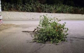 Cardedu, raid vandalico nella notte, piante divelte e indumenti bruciati: «Gesti meschini che offendono tutta la comunità»