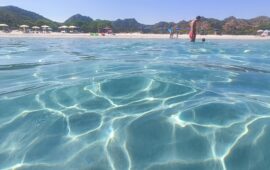 Oasi di Biderosa: un paradiso protetto, tra foresta mediterranea e spiagge incontaminate