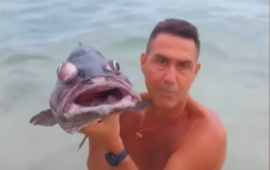 Vannacci in Sardegna provoca la sinistra in un video con un pesce: arriva l’esposto degli animalisti