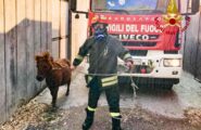 Fiamme in Barbagia e Marghine: Vigili del Fuoco in azione a Suni, Sindia, Borore e Macomer