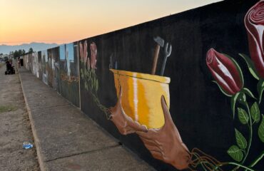 murale record sardegna