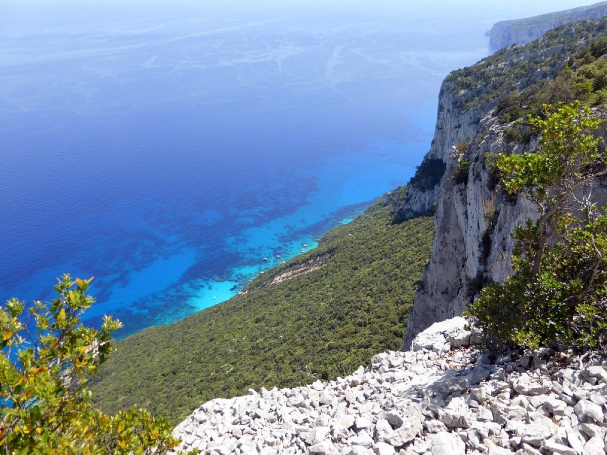 Il Selvaggio Blu