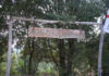 Nel bosco di Niala