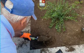 Tortolì, “Adotta un’aiuola”: cittadini protagonisti della cura del verde urbano