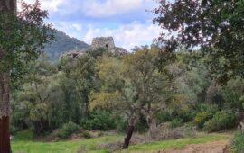 L'area archeologica di Scerì