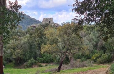 L'area archeologica di Scerì