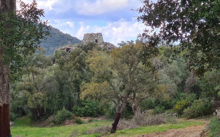 L'area archeologica di Scerì