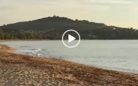(VIDEO) Sole e mare calmo: la magia del mattino a Basaura