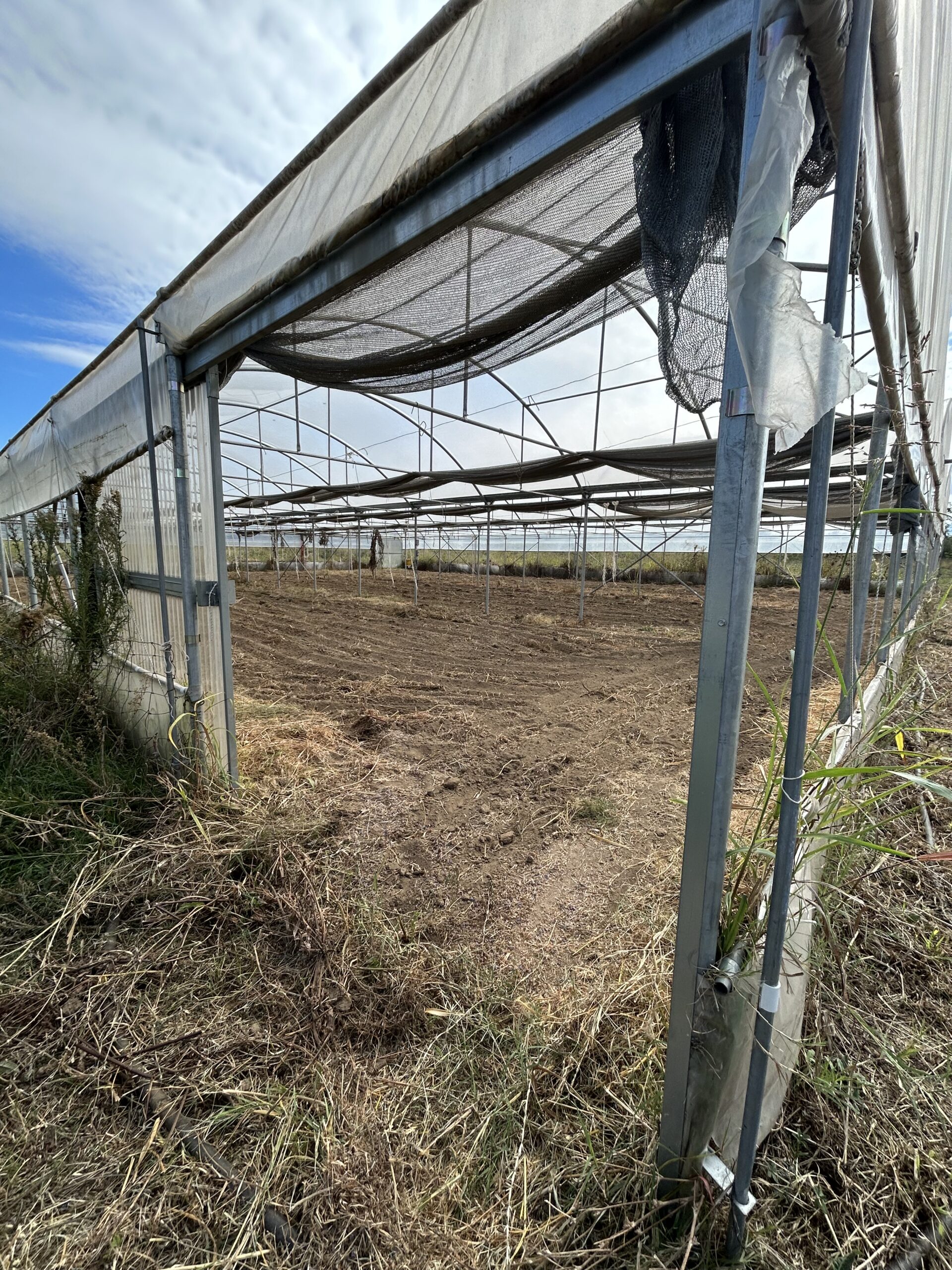sciopero all'agrario di tortolì