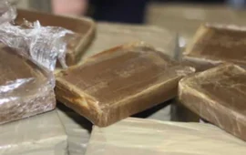 Maxi sequestro di droga a Bari Sardo: 51 kg di hashish nascosti sotto una quercia