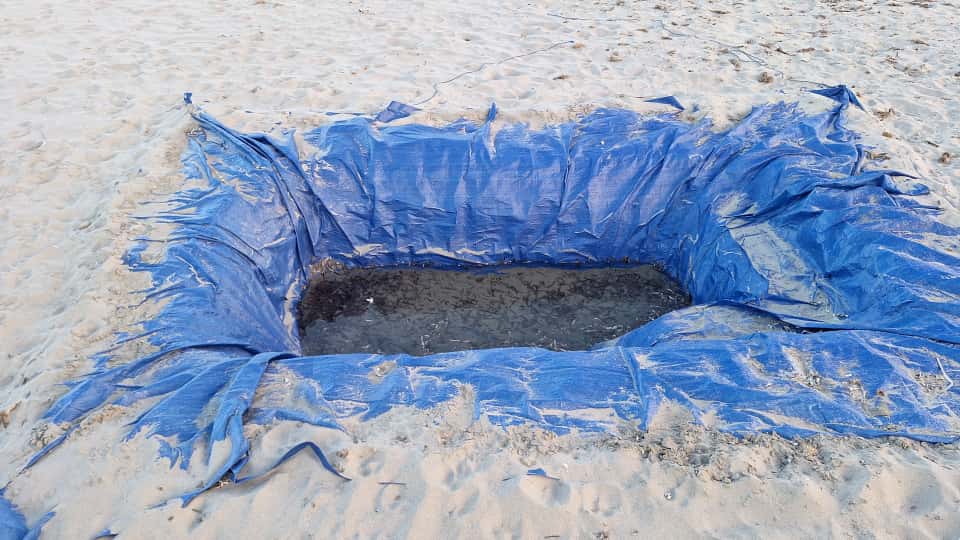 La piscina