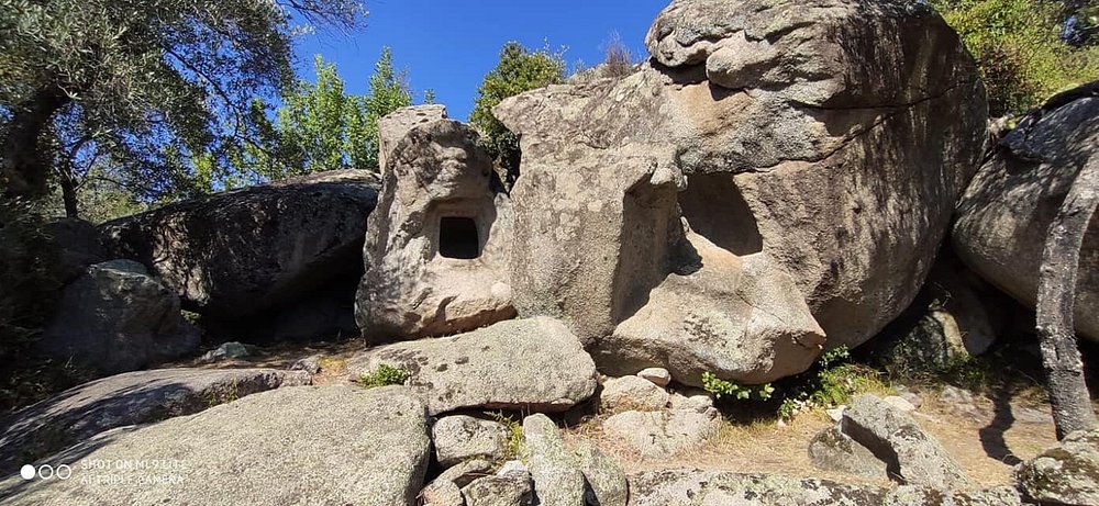 Le domus de janas