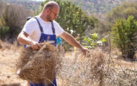Il ritorno alla terra nella storia dell’ogliastrino Salvatore Marongiu: “Il futuro dell’agricoltura è umano, etico e comunitario”