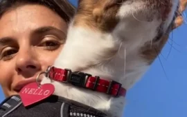 Elisabetta Canalis sulla copertina di Vanity Fair con Nello, il cagnolino adottato in un rifugio sardo