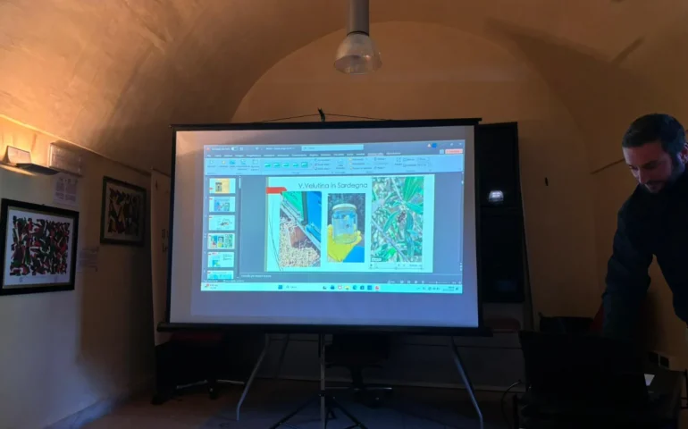 Tortolì, incontro di Apiaresos sulla Vespa velutina: “Serve agire subito per proteggere le api e la Sardegna”