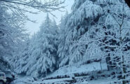 La bellezza incantevole della neve a Fonni