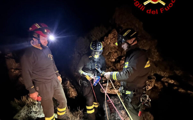 Il cane salvato a Urzulei