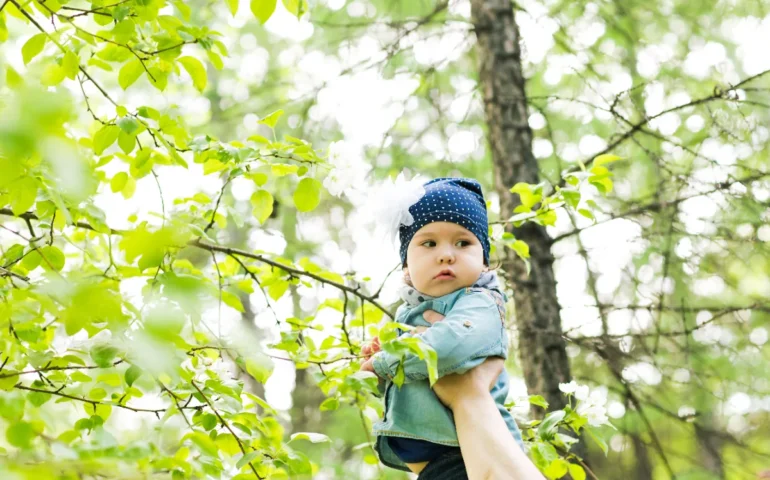 bambino albero envato