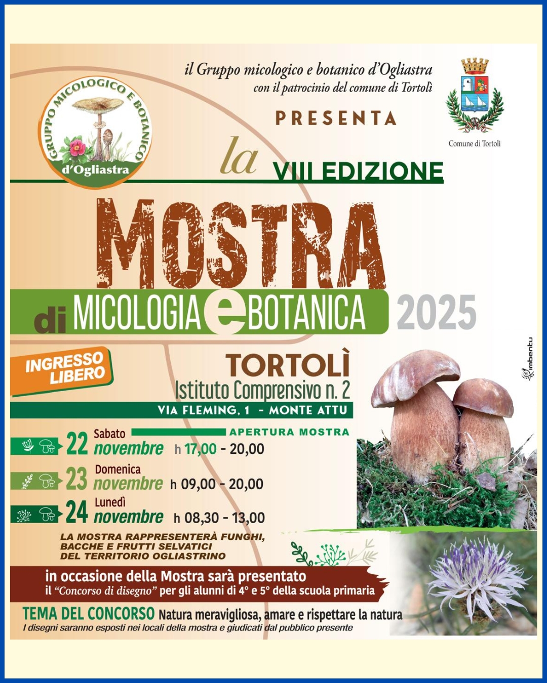 mostra funghi tortolì